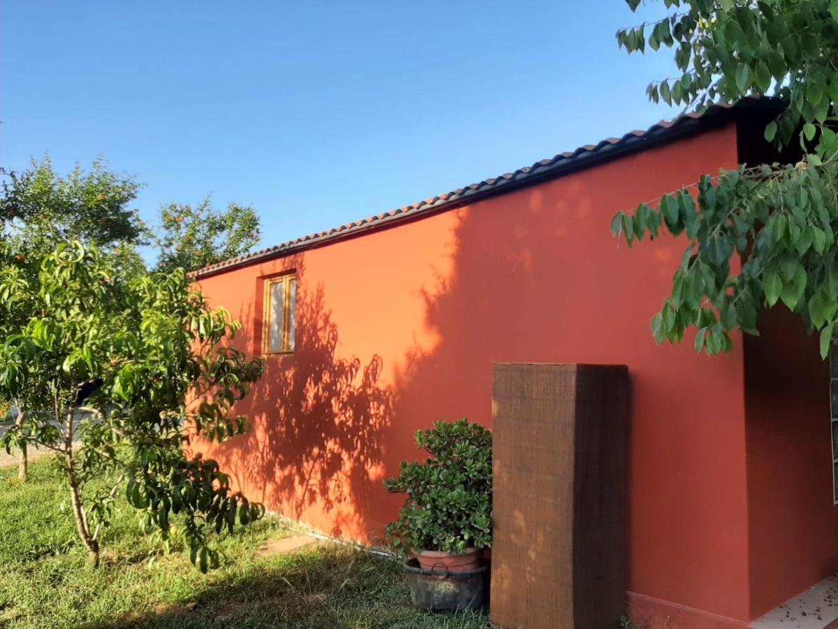 Casa Di Campagna Dal Pozzo Sorso Buitenkant foto