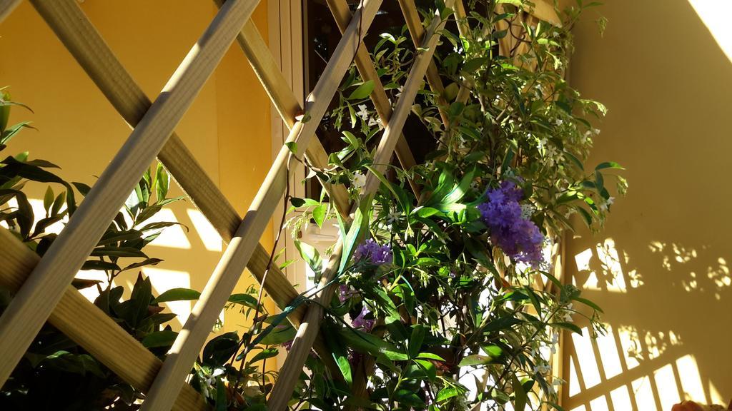 Casa Di Campagna Dal Pozzo Sorso Kamer foto