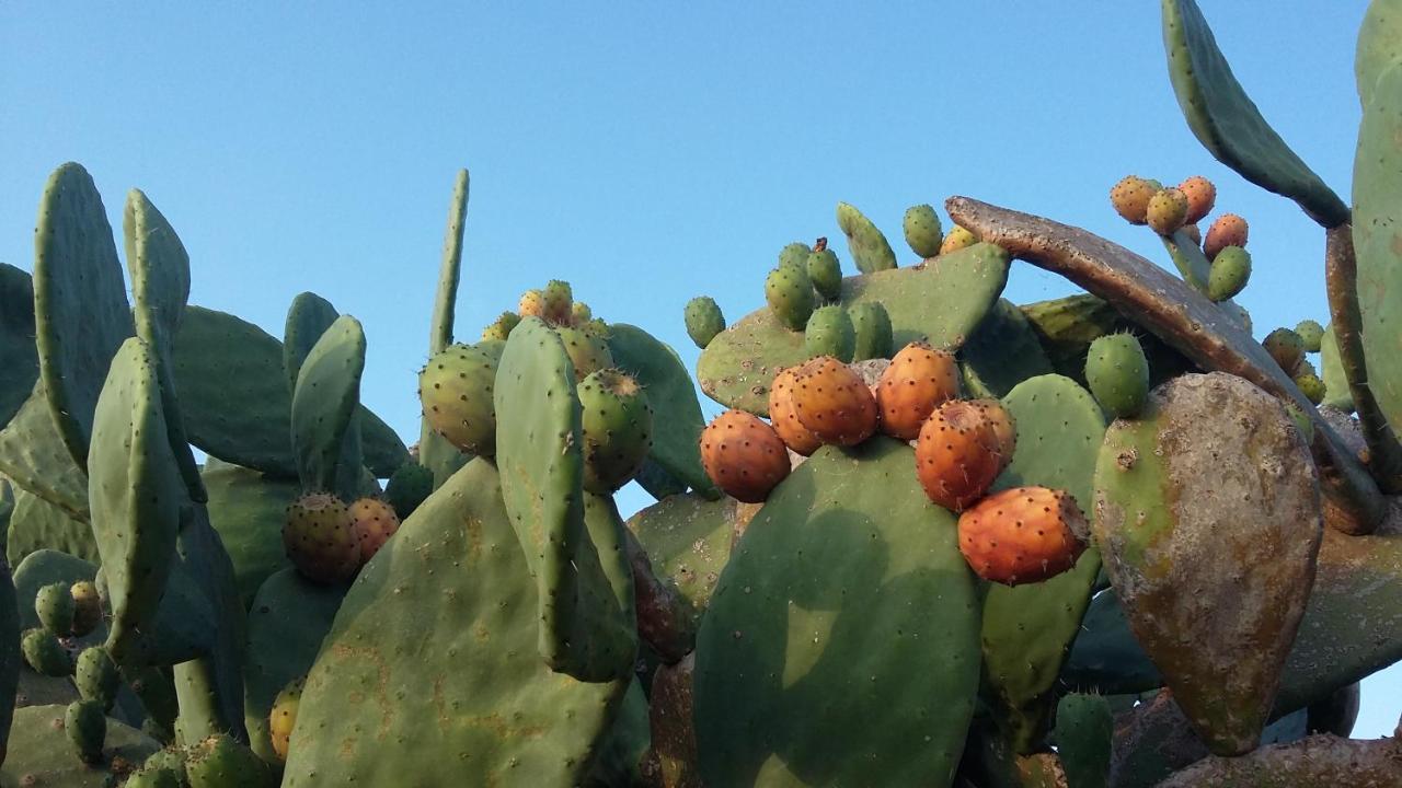 Casa Di Campagna Dal Pozzo Sorso Buitenkant foto