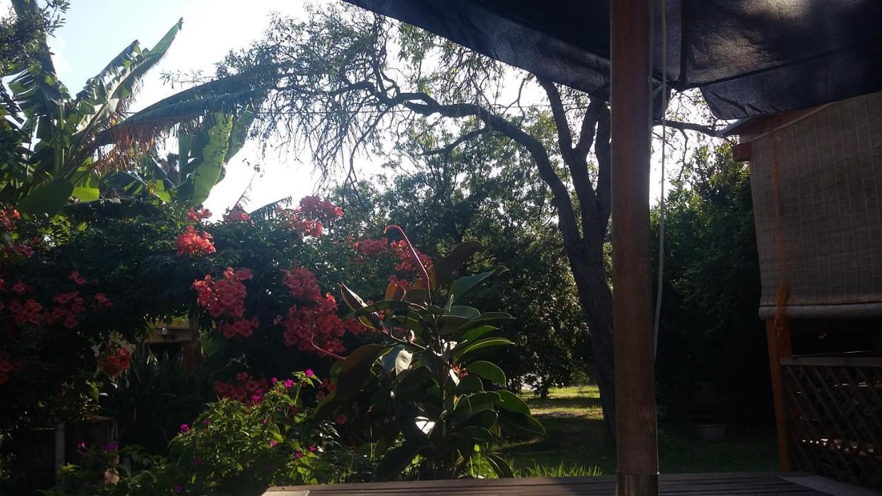 Casa Di Campagna Dal Pozzo Sorso Buitenkant foto